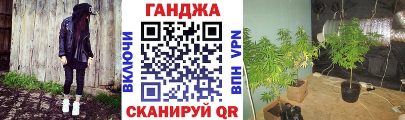 купить   Ворсма  Шишки марихуана Ganja 
